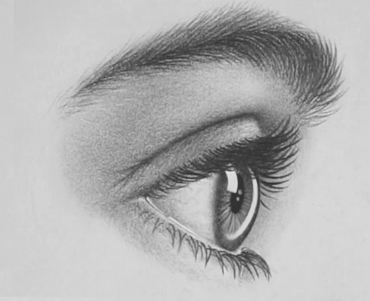 realistic drawing of an eye from the side